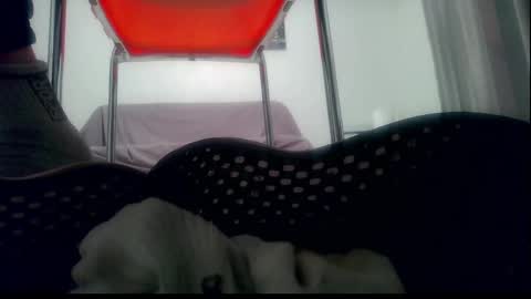 Snapshot of ssenzo chatting on January 1, 10:35 pm ssenzo online show from January 1, 10:35 pm