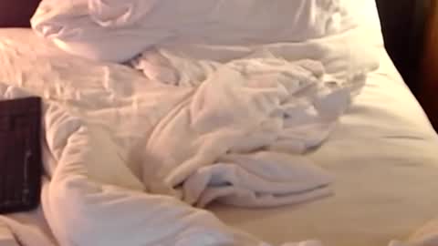 Snapshot of st8llion chatting on January 11, 2:41 am st8llion online show from January 11, 2:41 am