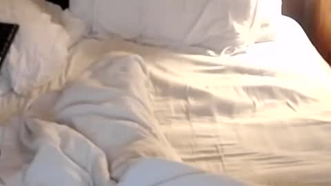 Snapshot of st8llion chatting on January 24, 7:19 am st8llion online show from January 24, 7:19 am