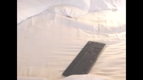 Snapshot of st8llion chatting on November 8, 2:12 am st8llion online show from November 8, 2:12 am