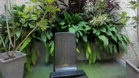 STAAR HOT online show from February 1, 12:26 pm