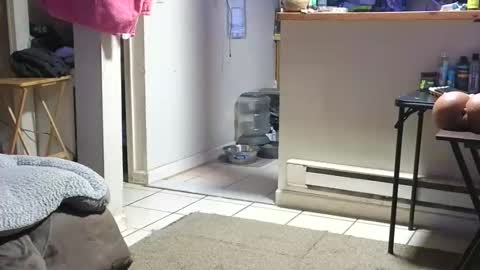 Snapshot of stacytasteme chatting on October 23, 4:23 am Submissive Slut LOVES adoration online show from October 23, 4:23 am