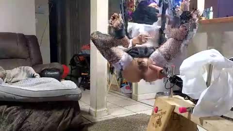 Snapshot of stacytasteme chatting on November 12, 7:20 am Submissive Slut LOVES adoration online show from November 12, 7:20 am