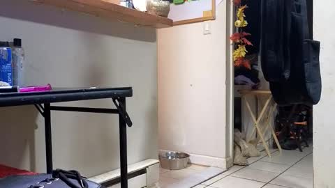 Submissive Slut LOVES adoration online show from November 20, 3:18 am