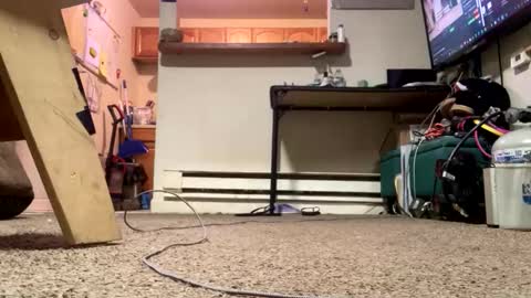 Submissive Slut LOVES adoration online show from February 21, 4:41 pm