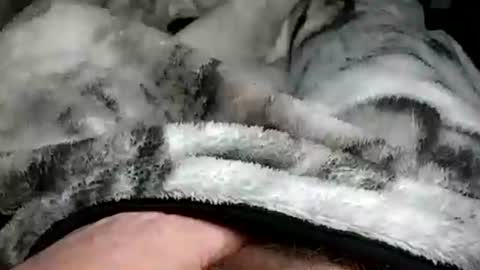 Snapshot of stargazor chatting on December 20, 10:05 am stargazor online show from December 20, 10:05 am