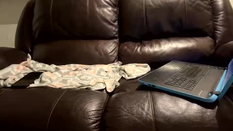 Snapshot of starr3095 chatting on January 9, 6:06 am starr3095 online show from January 9, 6:06 am