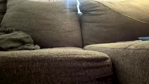 Snapshot of starr3095 chatting on December 3, 3:10 pm starr3095 online show from December 3, 3:10 pm