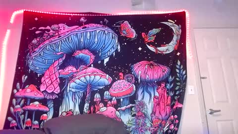 Snapshot of starvega1313 chatting on December 21, 7:03 am Star Vega online show from December 21, 7:03 am