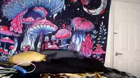 Snapshot of starvega1313 chatting on January 4, 5:58 am Star Vega online show from January 4, 5:58 am