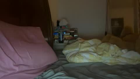 Snapshot of stellaangel chatting on October 26, 5:57 am stellaangel online show from October 26, 5:57 am