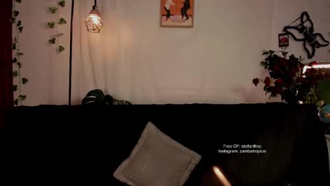 Snapshot of stellart_ chatting on February 23, 2:29 am stellart_ online show from February 23, 2:29 am