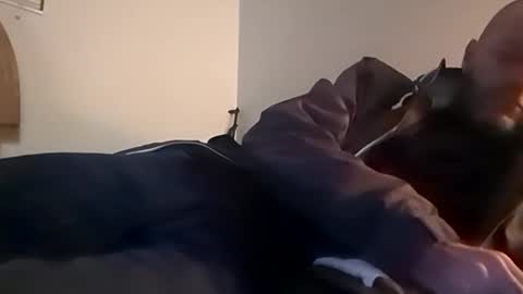 Snapshot of sterng123 chatting on November 12, 2:45 am sterng123 online show from November 12, 2:45 am