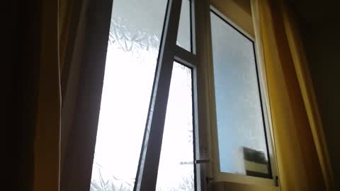 Steven online show from March 3, 11:55 am