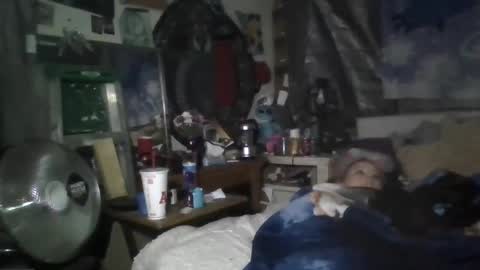 Snapshot of stitchsunshine85 chatting on February 20, 5:01 am Tasha and Drew online show from February 20, 5:01 am