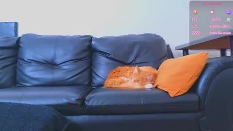 Stiven Montiel online show from January 9, 1:47 pm