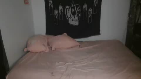 Snapshot of stoned2dabones666 chatting on March 3, 6:01 pm Haily online show from March 3, 6:01 pm