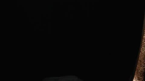 stonenipple online show from November 26, 6:47 am