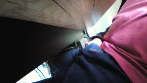 Snapshot of stoneshrek chatting on November 17, 11:54 pm shrek online show from November 17, 11:54 pm