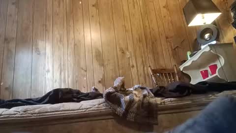 Snapshot of straighttoy chatting on November 3, 3:24 pm straighttoy online show from November 3, 3:24 pm