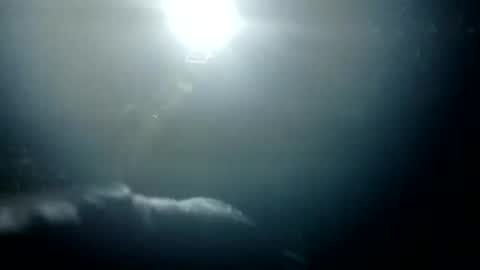 Snapshot of stroll0695 chatting on January 26, 1:36 pm Bigdickdugan online show from January 26, 1:36 pm