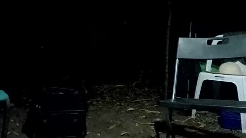 Snapshot of stroll0695 chatting on February 12, 1:06 pm Bigdickdugan online show from February 12, 1:06 pm