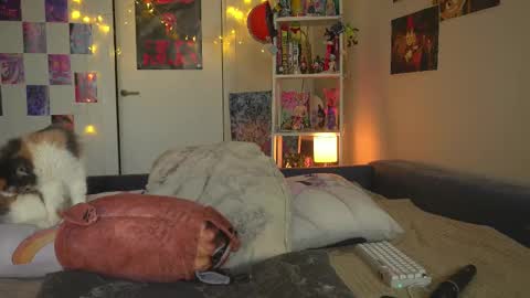 succubus_66 online show from February 12, 11:40 am