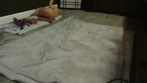 Snapshot of sugacookie69 chatting on December 9, 4:56 am Suga cookie online show from December 9, 4:56 am