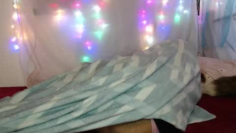 zuley online show from March 4, 2:17 am