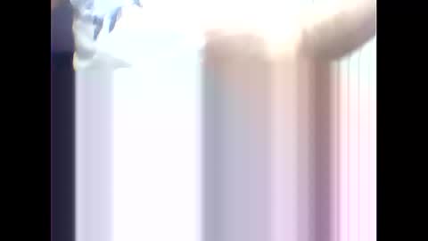 Snapshot of suleyman38 chatting on February 17, 12:16 pm suleyman38 online show from February 17, 12:16 pm