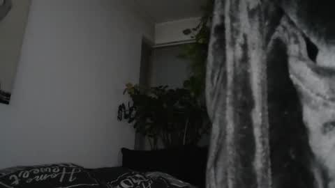 Snapshot of sundicksun chatting on December 17, 7:59 pm s online show from December 17, 7:59 pm