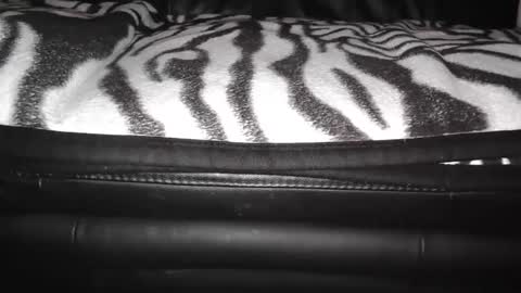 Snapshot of sundicksun chatting on December 24, 9:11 pm s online show from December 24, 9:11 pm