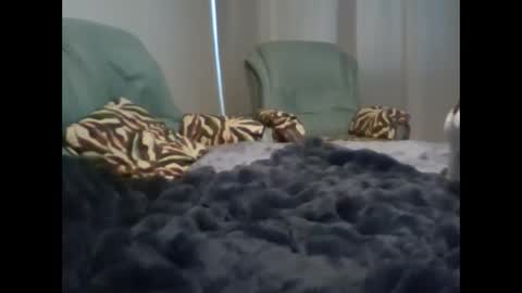 Snapshot of suni_bitch chatting on March 7, 5:08 am suni online show from March 7, 5:08 am