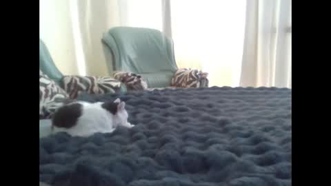 Snapshot of suni_bitch chatting on March 10, 11:42 am suni online show from March 10, 11:42 am