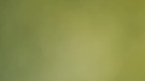 Annie online show from December 19, 12:56 am