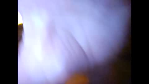 Snapshot of suntroll chatting on February 7, 11:01 am Suntroll online show from February 7, 11:01 am