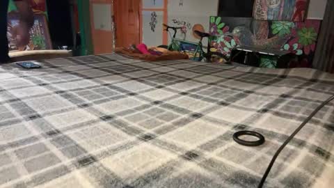 Snapshot of supremelifers chatting on December 2, 10:07 am Stony online show from December 2, 10:07 am