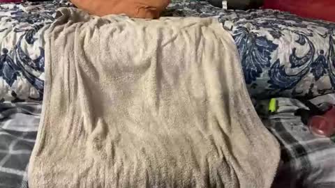 Snapshot of supremelifers chatting on March 3, 9:48 pm Stony online show from March 3, 9:48 pm