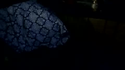 sloth online show from February 27, 9:31 am