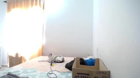 Susana online show from January 23, 4:59 pm