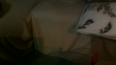 Snapshot of svenjamin9090 chatting on February 13, 9:49 pm Druffen online show from February 13, 9:49 pm