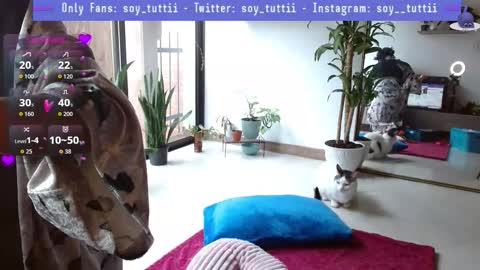 Tutti  online show from January 12, 4:12 pm