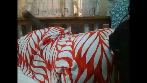 Snapshot of sweetblacklady chatting on November 25, 7:08 am MELVIN online show from November 25, 7:08 am