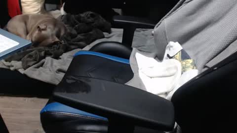 sweetgesus online show from November 6, 3:57 pm