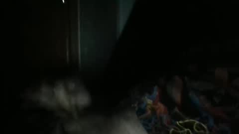 Snapshot of sweetpussylicks chatting on February 7, 7:29 am sweetpussylicks online show from February 7, 7:29 am