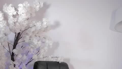 Snapshot of sweetsalice__ chatting on December 14, 11:42 pm Alice Woolridge online show from December 14, 11:42 pm