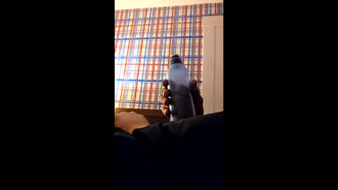 swinginghammer1987 online show from March 30, 8:04 am