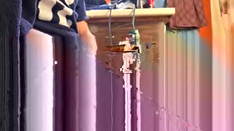 swinginghammer1987 online show from April 11, 9:41 pm