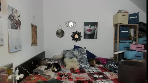 switchlorenx online show from February 13, 11:45 pm