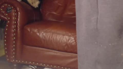 The DickGod online show from March 9, 4:05 am